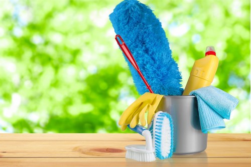 Professional window cleaning for homes and businesses in Kingston upon Thames