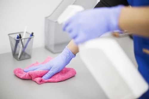Professional cleaner checking service notes