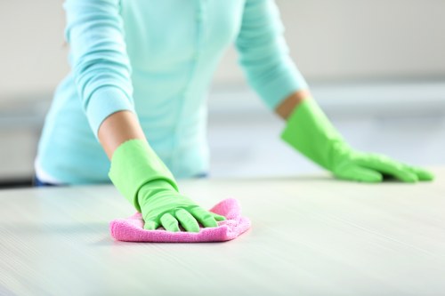 Professional domestic cleaning in Kingstonuponthames kitchen and living areas