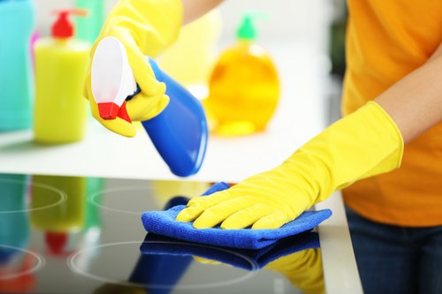Booking and payment terms for a cleaning service