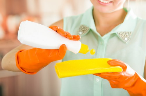 Detailed kitchen and bathroom cleaning before moving into a property