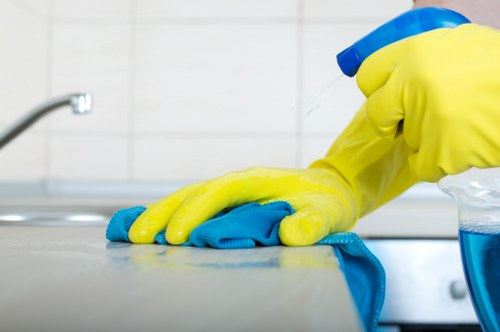 Local cleaners working in a Kingston upon Thames property