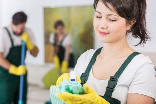 Cleaning support for apartments and family homes around Kingstonuponthames