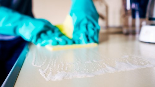 Rug cleaning process for a family home or business in Kingston