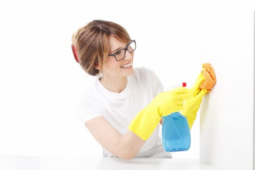 Specialist cleaning for pet smells in upholstery and rugs