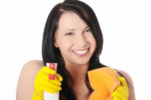 Professional exterior cleaning on a residential or commercial façade