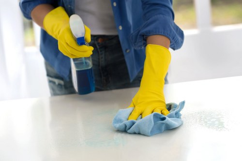 Freshening carpets and furnishings after pet odour removal