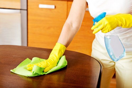 Professional fabric care for curtains and drapes