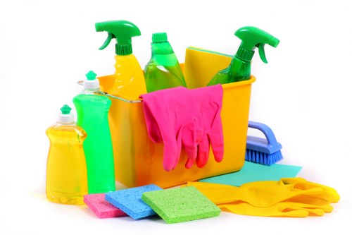 Bin store and shared access area cleaning in Kingston upon Thames