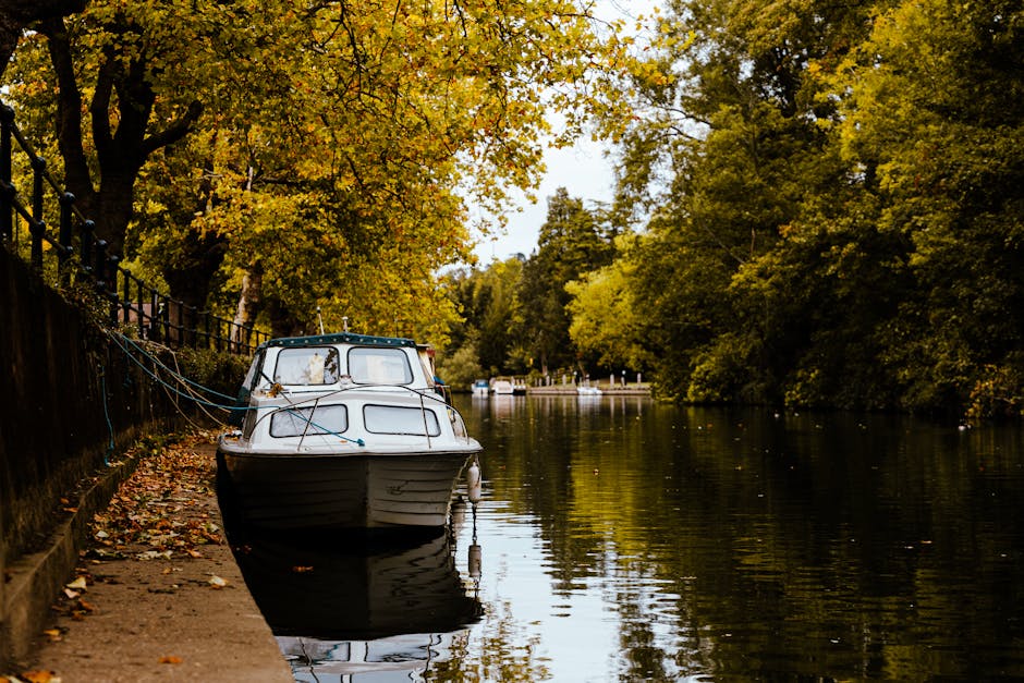 A small white motorboat docked along the bank of the River Thames, with a black hull and a cabin with large windows, is tied to a metal railing on the left side of the image. The boat's surface appears clean and well-maintained, reflecting sunlight from the calm water. The riverbank is lined with a mixture of fallen leaves and gravel, and lush trees with golden-yellow foliage extend over the water, creating a serene, picturesque scene. In the background, other boats are visible further along the river, surrounded by dense greenery. The natural lighting highlights the vibrant autumn colors, and the overall scene emphasizes outdoor river surface maintenance and cleanliness, aligning with residential or commercial waterfront cleaning services provided by Cleaner Kingston upon Thames, captured in a peaceful riverside setting for the page about Boat and riverside cleaning Kingston Bridge and Canbury Gardens.